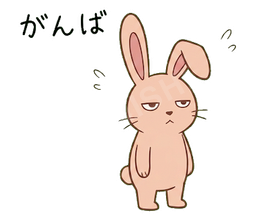 Jitome Bunny #07 がんば