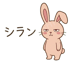 Jitome Bunny #12 シラン