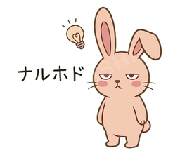 Jitome Bunny #16 ナルホド