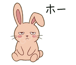 Jitome Bunny #17 ホー