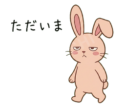 Jitome Bunny #23 ただいま