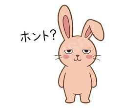 Jitome Bunny #27 ホント？