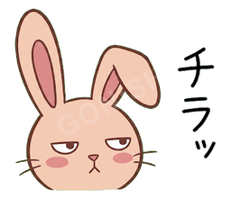 Jitome Bunny #37 チラッ
