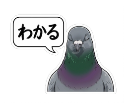 わかる