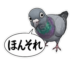 ほんそれ