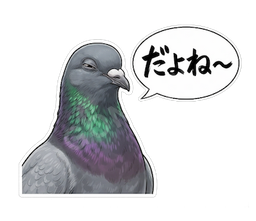 だよね〜