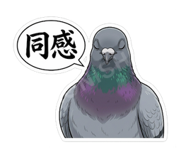 同感