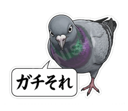 ガチそれ