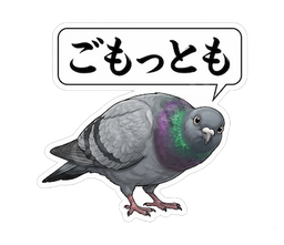 ごもっとも