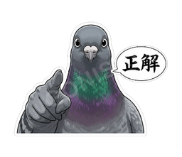 正解