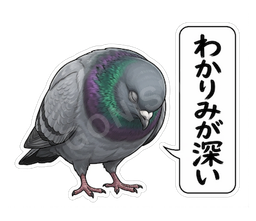 わかりみが深い