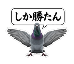 しか勝たん