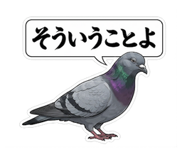 そういうことよ